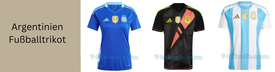 Premier Paint Protection, Coatings & Window Tint Shop in Roanoke, TX
                